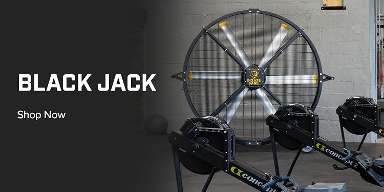 Shop Authentic Big Ass Fans | Upgrade Your Space Airflow Today, Powerful Airflow,Smart Cooling Starts Here